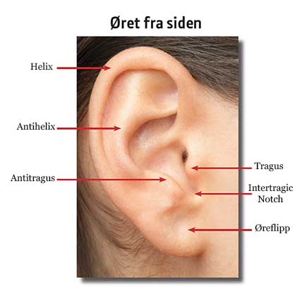 Øret sett fra siden